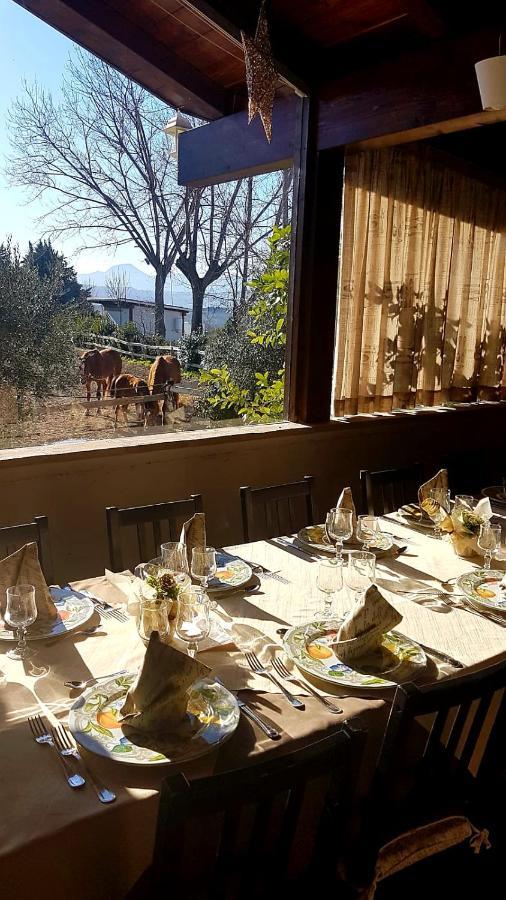 La Collina Dei Cavalieri Villa Belvedere Ostrense Eksteriør bilde
