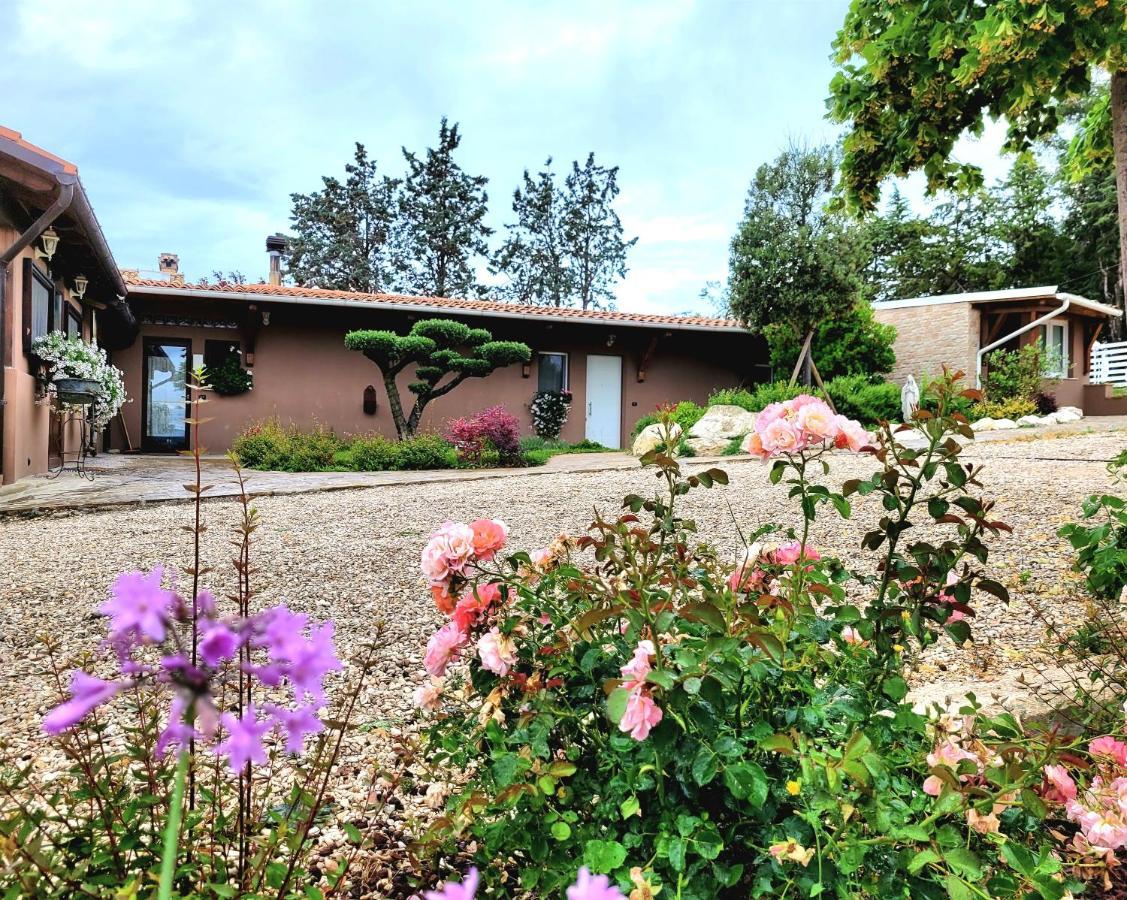 La Collina Dei Cavalieri Villa Belvedere Ostrense Eksteriør bilde