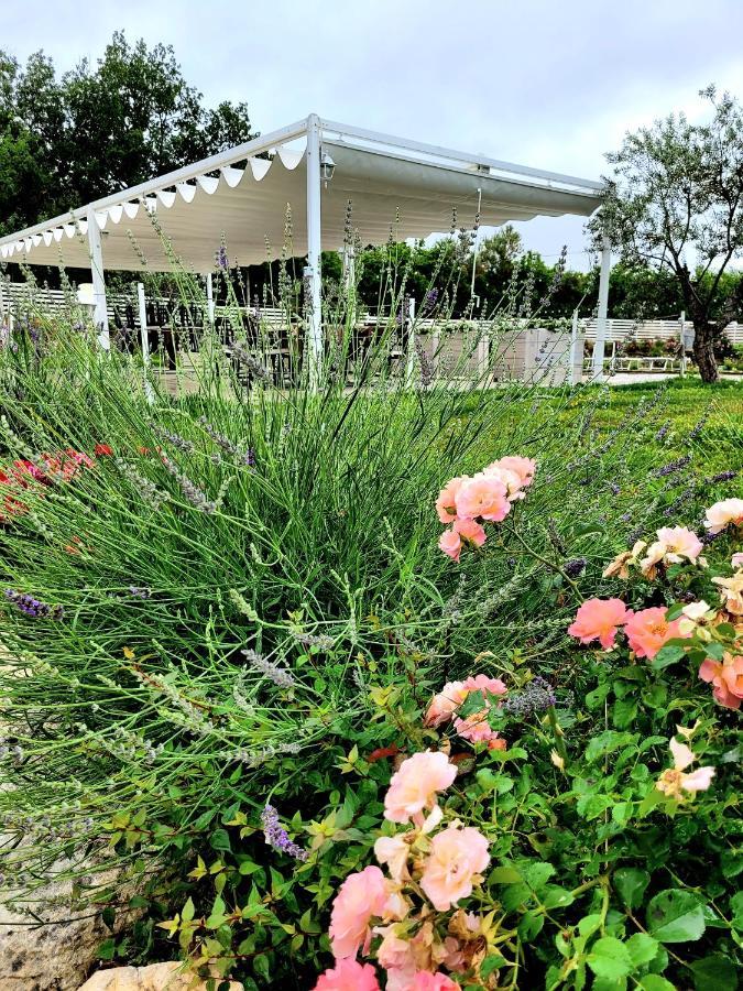 La Collina Dei Cavalieri Villa Belvedere Ostrense Eksteriør bilde