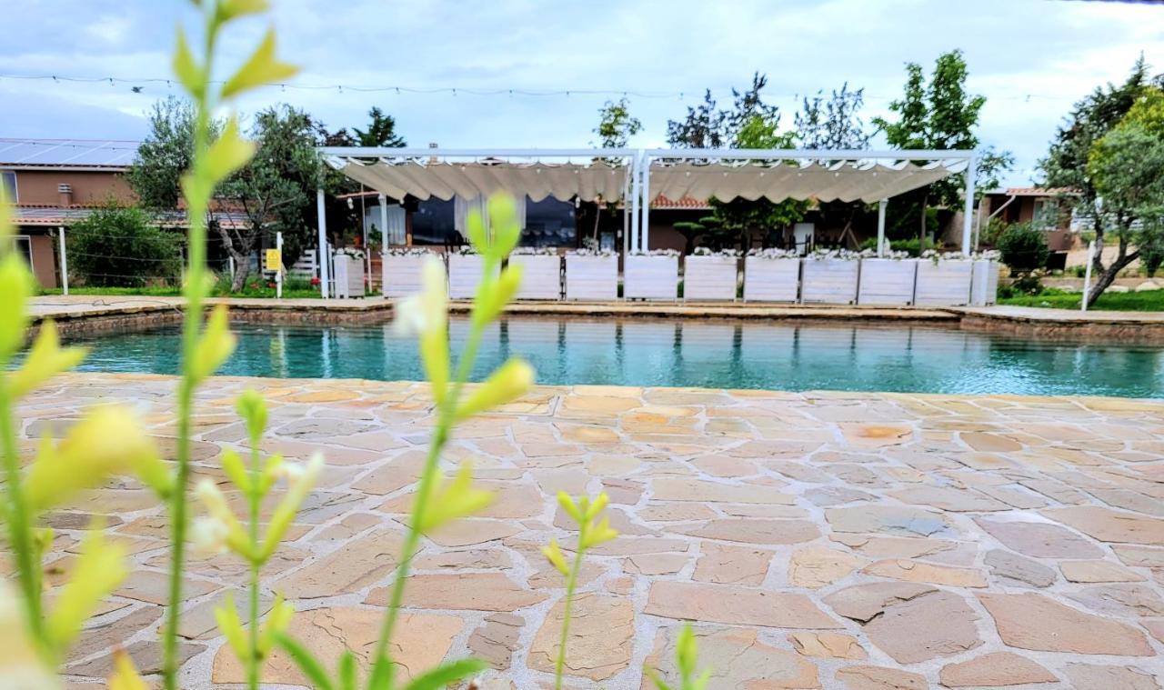 La Collina Dei Cavalieri Villa Belvedere Ostrense Eksteriør bilde