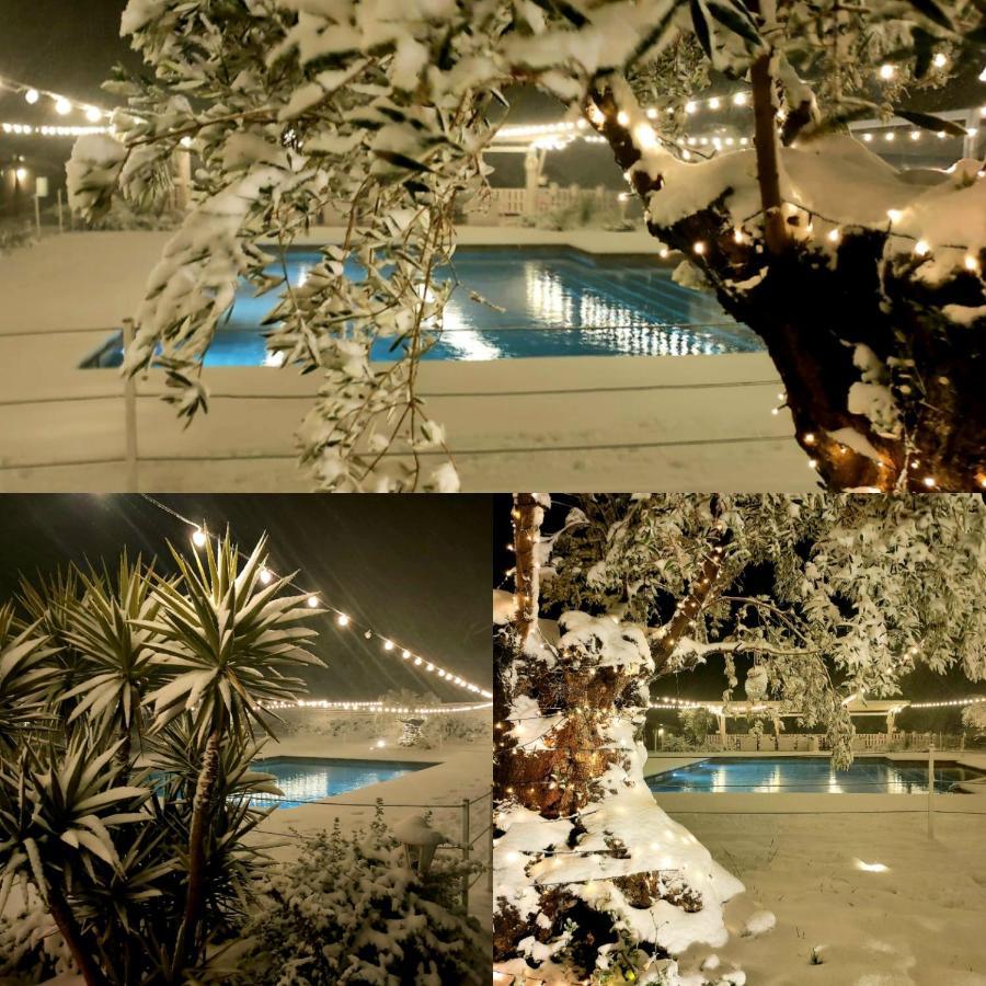 La Collina Dei Cavalieri Villa Belvedere Ostrense Eksteriør bilde
