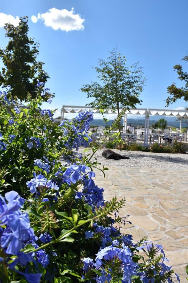 La Collina Dei Cavalieri Villa Belvedere Ostrense Eksteriør bilde