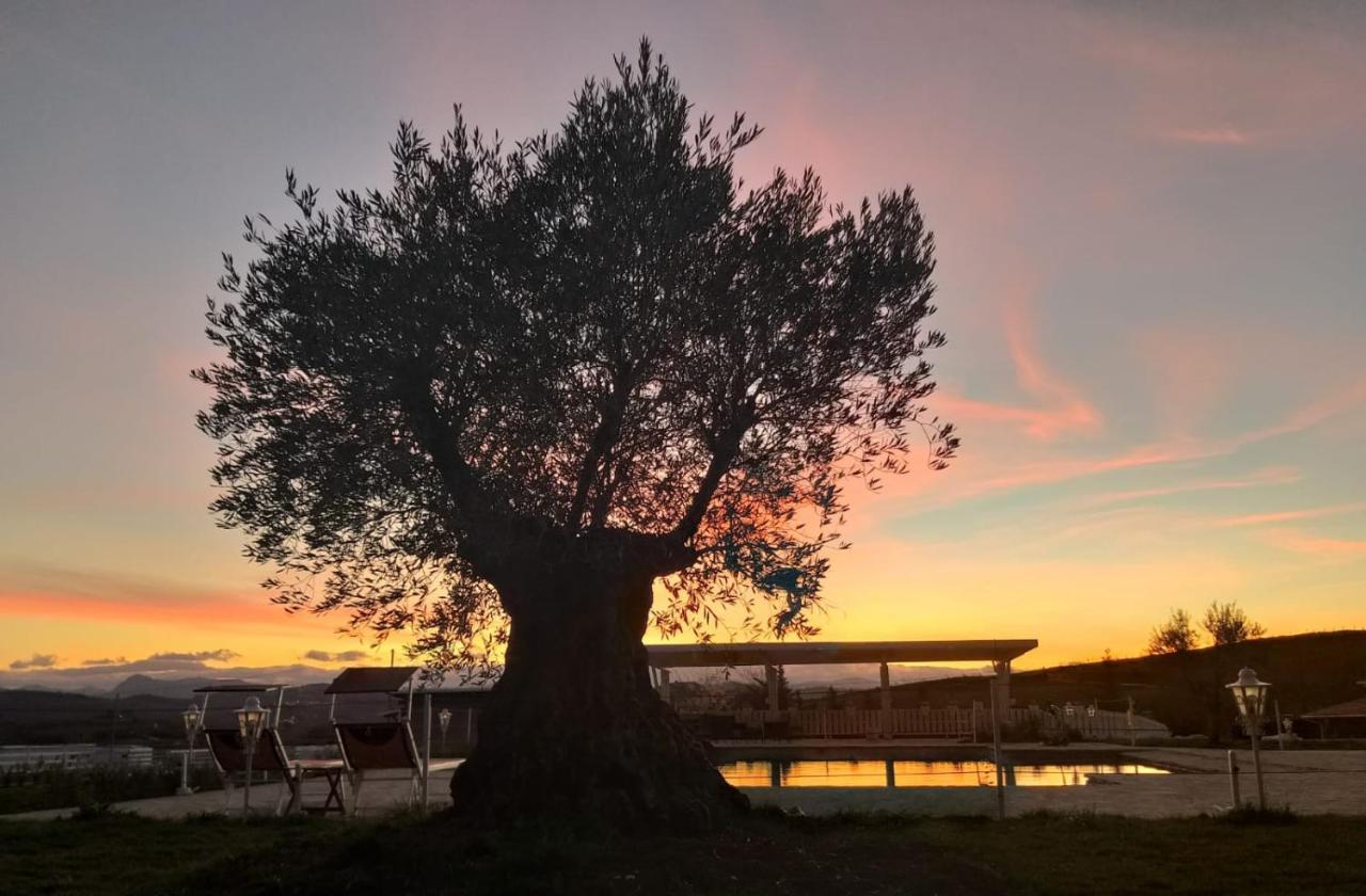 La Collina Dei Cavalieri Villa Belvedere Ostrense Eksteriør bilde